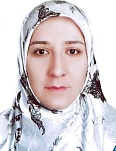 دستیار جوان فضائی