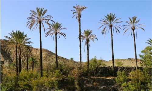 اتصال روستای شهبابک شهرستان بشاگرد به شبکه ملی اطلاعات
