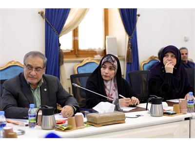 جلسه ستاد هماهنگ سازی و پیگیری مناسب سازی کشور