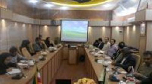 دومین نشست بررسی وضعیت تلفن ثابت شهرک های صنعتی با حضورشرکت هایFCP   دراستان بوشهر