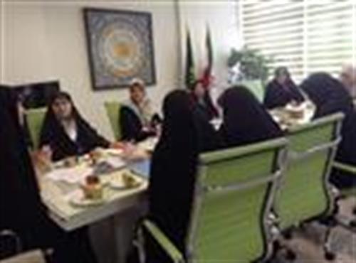 برگزاری اولین نشست فراکسیون زنان مجلس دهم با معاونت امور زنان و خانواده ریاست جمهوری