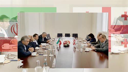 دیدار دکتر واعظی با وزیر امور خارجه گرجستان/ همکاری در حوزه ارتباطات و فناوری اطلاعات دو کشور
