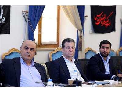 شورای راهبری توسعه شبکه ملی اطلاعات