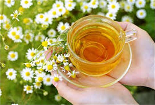 مصرف چای بابونه  برای افراد دیابتی بسیار مفید است