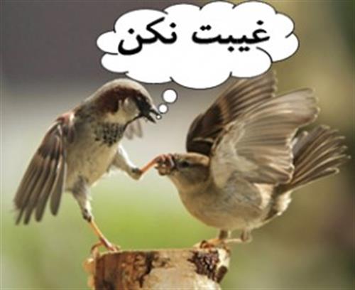عملی بهتر از ۱۰ هزار رکعت نماز!