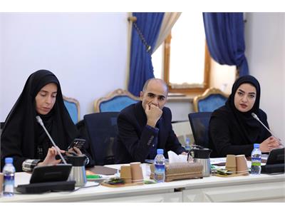 جلسه ستاد هماهنگ سازی و پیگیری مناسب سازی کشور