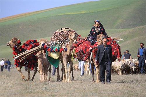راه اندازی نمایندگی پست عشایری با هدف ارایه خدمات پستی و تجارت الکترونیک
