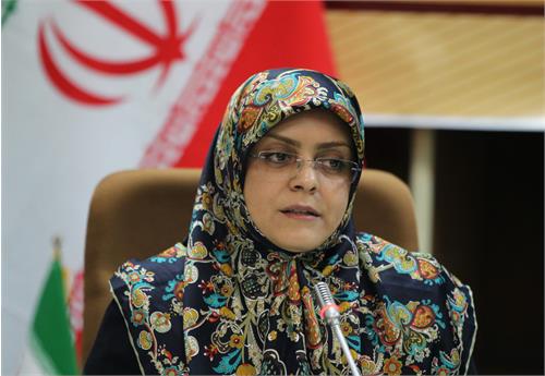 معاون برنامه‌ریزی و هماهنگی معاونت امور زنان: شناخت و تحلیل بسیاری از مسائل، نگرش خاص زنانه را می‌طلبد