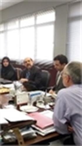 ارائه خدمات جدید توسط جویشگرهای بومی