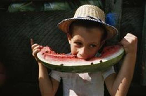 5 دلیل برای آنکه هندوانه بخورید!