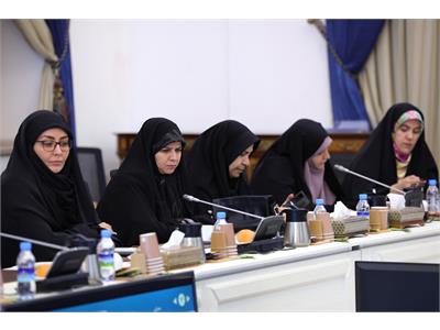 نشست اعضای فراکسیون زنان و خانواده مجلس با وزیر ارتباطات و فناوری اطلاعات