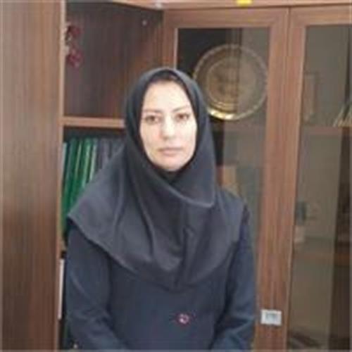 انتصاب شهلا‌ اصولی به سمت مدیر‌کل دفتر پایش‌و‌نظارت بر پیاده‌سازی دولت‌الکترونیک