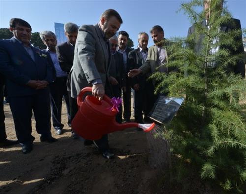 وزیر ارتباطات و فناوری اطلاعات در مراسم کاشت 137نهال: با گسترشICT مردم فضای سالم شهری را تجربه کنند