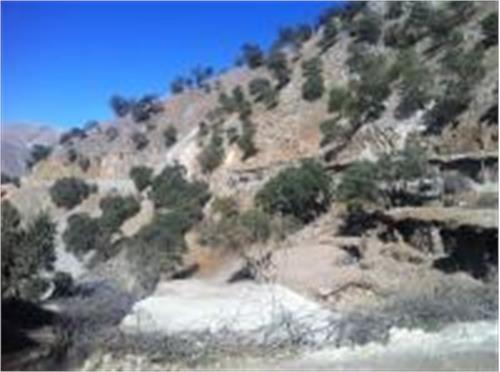 بازدید از مناطق محروم و روستاهای شامل طرح خدمات عمومی اجباری روستایی(uso)
