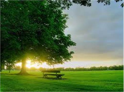 فواید سحرخیزی