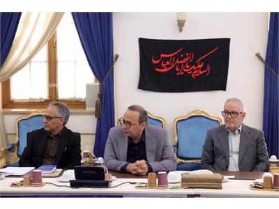 نشست کاری وزرای ارتباطات و امور اقتصادی و دارایی