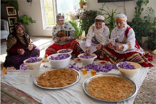 پارک فاوا توسعه اقتصاد دیجیتال روستاها را از گلستان آغاز کرد