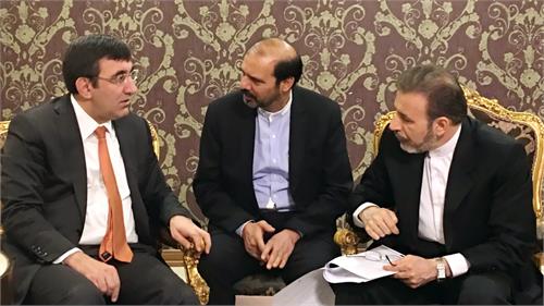 وزیر توسعه ترکیه با دکتر واعظی دیدار کرد/ تأکید بر حضور بخش خصوصی در گسترش روابط