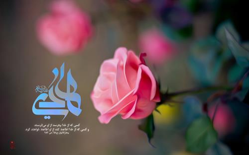 سیره و شخصیت امام هادی (ع)