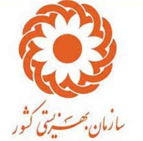 خروج 12.7 درصدی زنان سرپرست خانوار از چرخه حمایتی بهزیستی