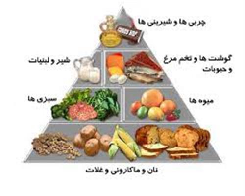 نقش تغذیه قبل از ورزش، هنگام ورزش و بعد از ورزش