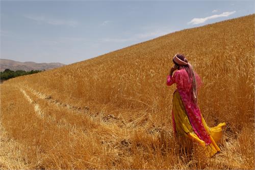سرمایه‌گذاری ۵۰۰ میلیاردی برای اتصال روستاهای استان فارس
