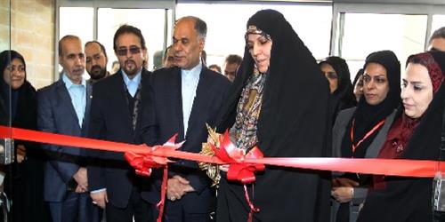 مولاوردی: تحقق عدالت جنسیتی با اعمال رویکرد اعتدال محقق‌می‌شود/ ارتقای آگاهی‌های حقوقی و اطلاعاتی نقش بازدارنده‌ای در آسیب‌های اجتماعی دارد