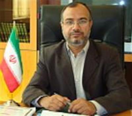 مدیرعامل مخابرات خراسان جنوبی خبر داد: بهره مندی 62 درصد از روستائیان از شبکه اینترنت