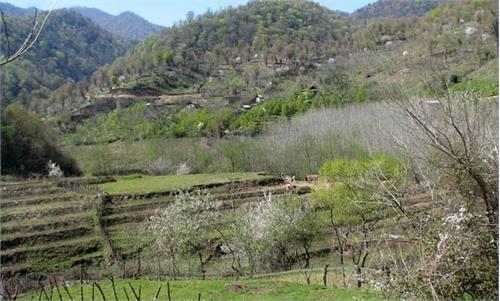 توسعه کسب و کارهای خانگی در بستر عدالت ارتباطی