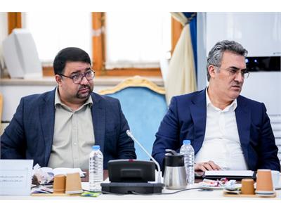 جلسه پایش پروژه ها و طرح های ارتباطی استان خراسان جنوبی